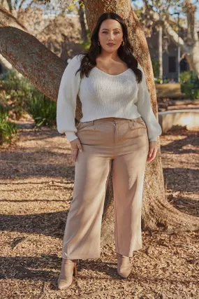 Beige Wide Leg Pants High Rise