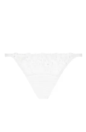 Daisy Brief